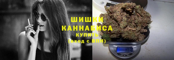 мдпв Вяземский