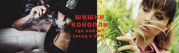 мдпв Володарск