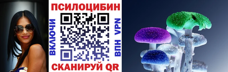 дарнет шоп  нарко площадка Telegram  Галлюциногенные грибы Magic Shrooms  Заволжье  блэк спрут tor 